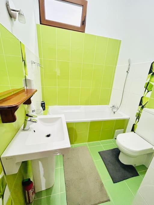 Apartamento Hidden Gem In The Old Town Timisoara Exterior foto
